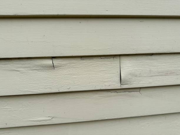 Reliable Roscoe, TX Siding Installation Solutions